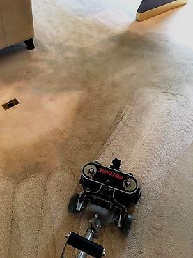 Picture of Deep Cleaning of Carpets